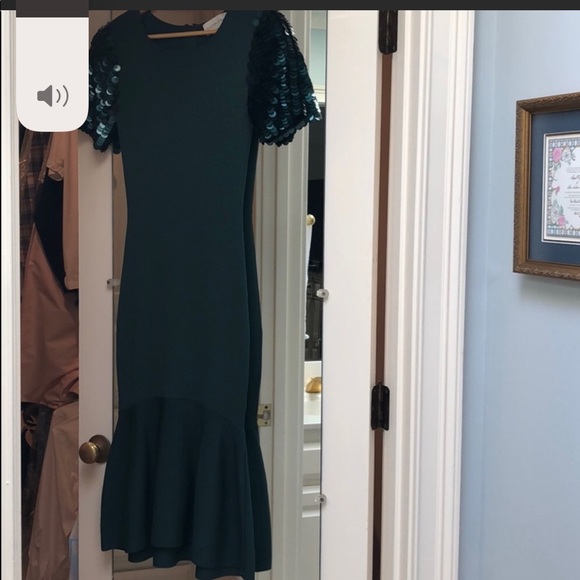 Sachin + Babi dress. Perfect for holidays . Never worn - Picture 3 of 5